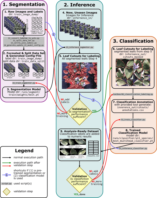 The PhenoSelect Pipeline: A two-stage deep learning workflow. The process begins by training a segmentation model to isolate individual leaves. In the second stage, these segmented cutouts are annotated and used to train a secondary classification model, allowing for specific biological trait filtering.